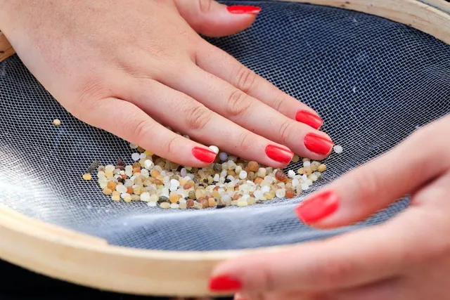 pellets-na-peneira-em-limpeza-de-praia-da-sea-shepherd-brasil