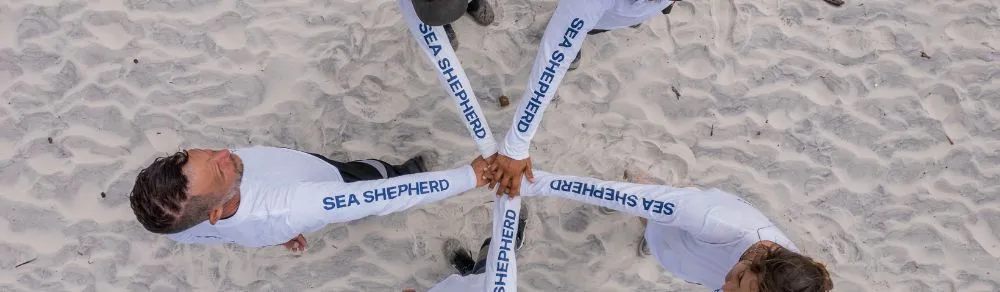 Voluntários com camisetas da Sea Shepherd unem as mãos em círculo sobre a areia da praia