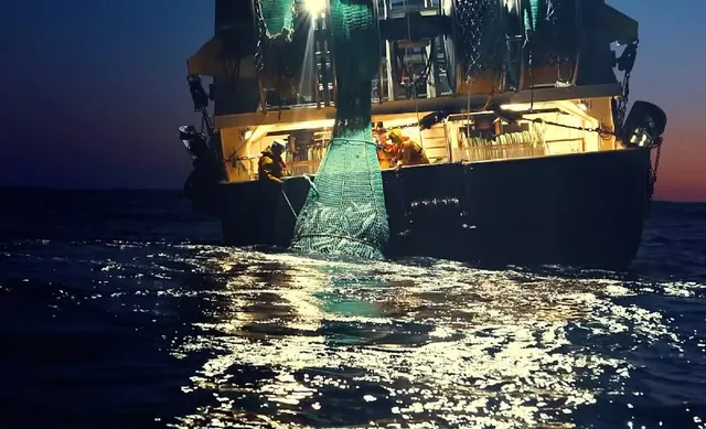 Barco de pesca