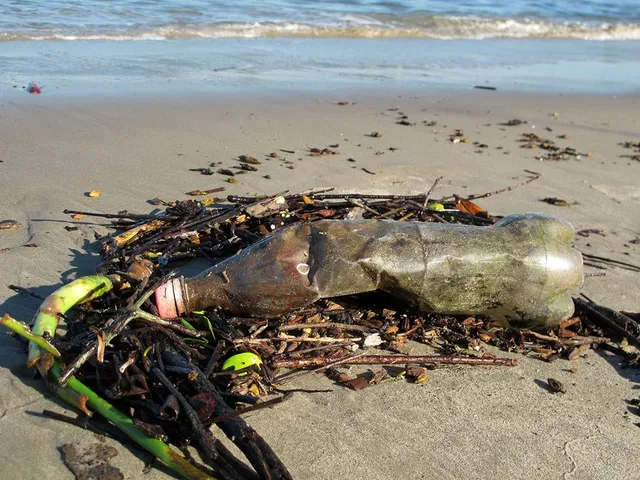 Garrafa jogada em praia