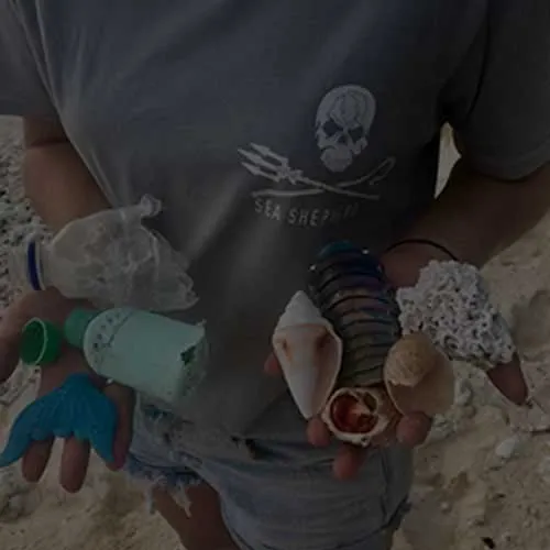 Voluntários recolhendo resíduos da praia
