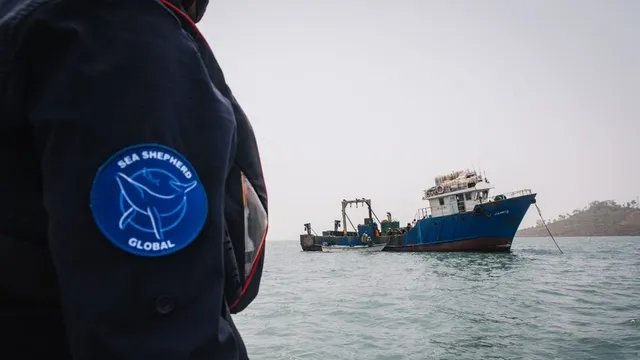 Marinha de Serra Leoa apreende traineiras dentro de área protegida. Foto por Alice Gregoire / Sea Shepherd