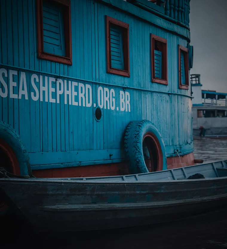 Barco da Sea Shepherd no rio Amazonas
