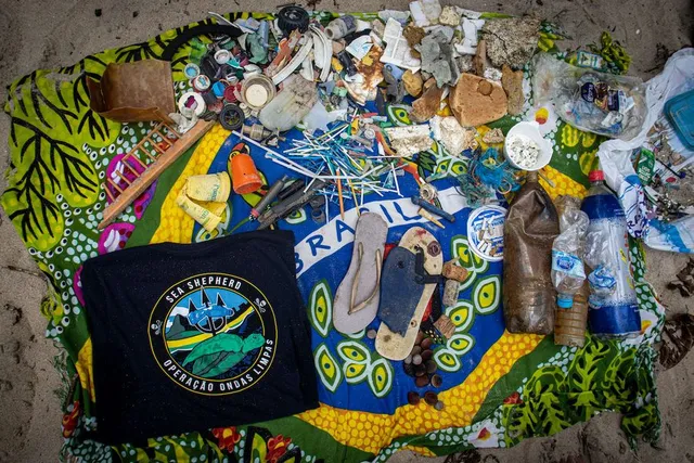 Lixo coletado em limpeza na Praia Brava