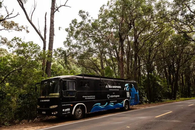 Coleta e pesagem de resíduos na costa