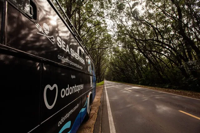 Voluntários em uma limpeza científica
