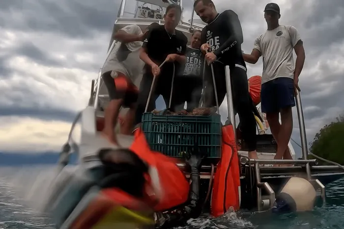 Equipe de mergulhadores iça as redes recolhidas para dentro do barco, vestindo camisetas Rede Contra Redes