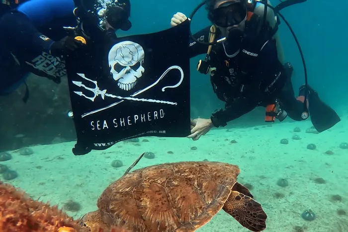 Dois mergulhadores seguram a bandeira da Sea Shepherd ao lado de uma tartaruga marinha no fundo do mar