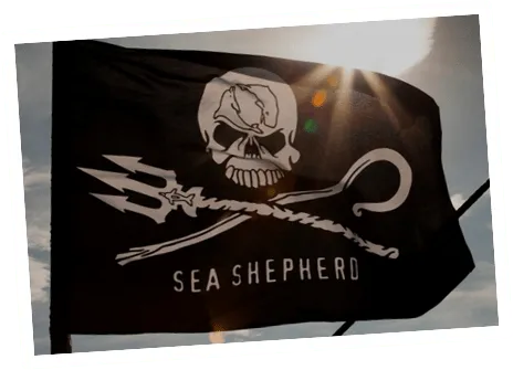 Embarcação da Sea Shepherd