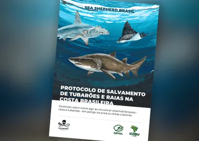 Capa do protocolo, com um tubarão, uma raia e um tubarão-lixa nadando sobre fundo azul