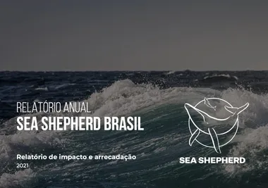 Capa do relatório de 2021: uma onda quebrando em mar aberto