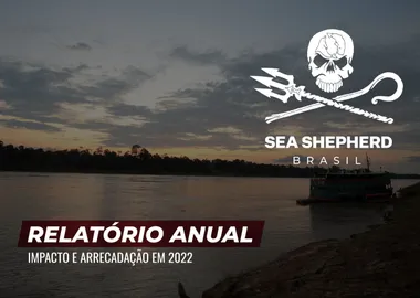 Capa do relatório de 2022: um rio amazônico ao entardecer, com uma embarcação regional atracada na margem
