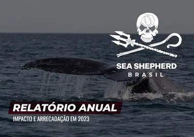 Capa do relatório de 2023: a cauda de uma baleia jubarte emergindo do mar