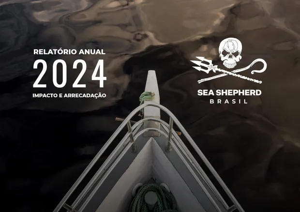 Capa do relatório de 2024: a proa de um barco vista de cima, sobre água escura