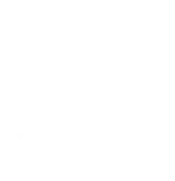 Sociedade pelo Oceano