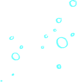 Bolhas 1