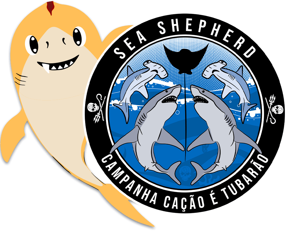 Logo Campanha