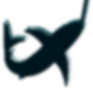 Pescado 3