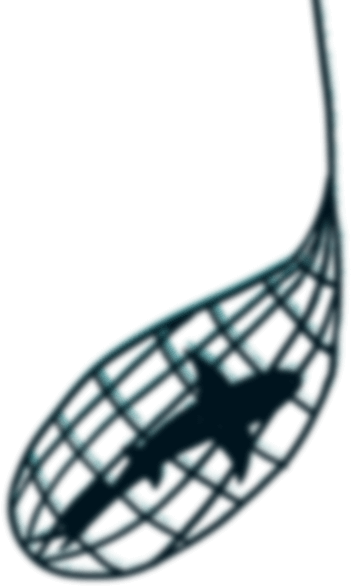 Pescado 4