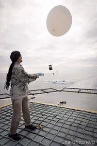 Doug O'Neil lança um balão meteorológico para o céu Oceano Antártico (Foto: Barbara Veiga)