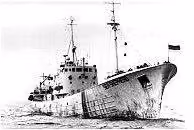 sea-shepherd