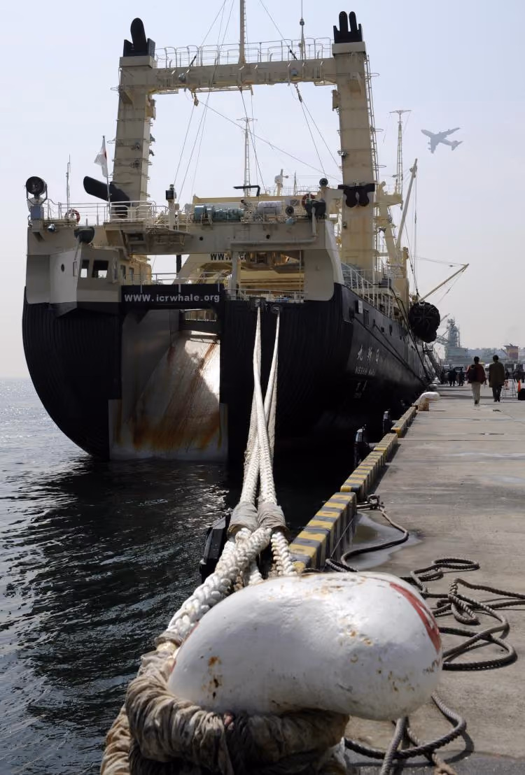 Nisshi Maru docado