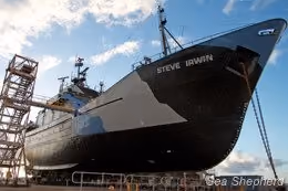 O Steve Irwin na doca seca.