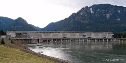 O maior assassino de todos os salmões, a represa de Bonneville, no rio Columbia. Foto: Erwin Vermeulen