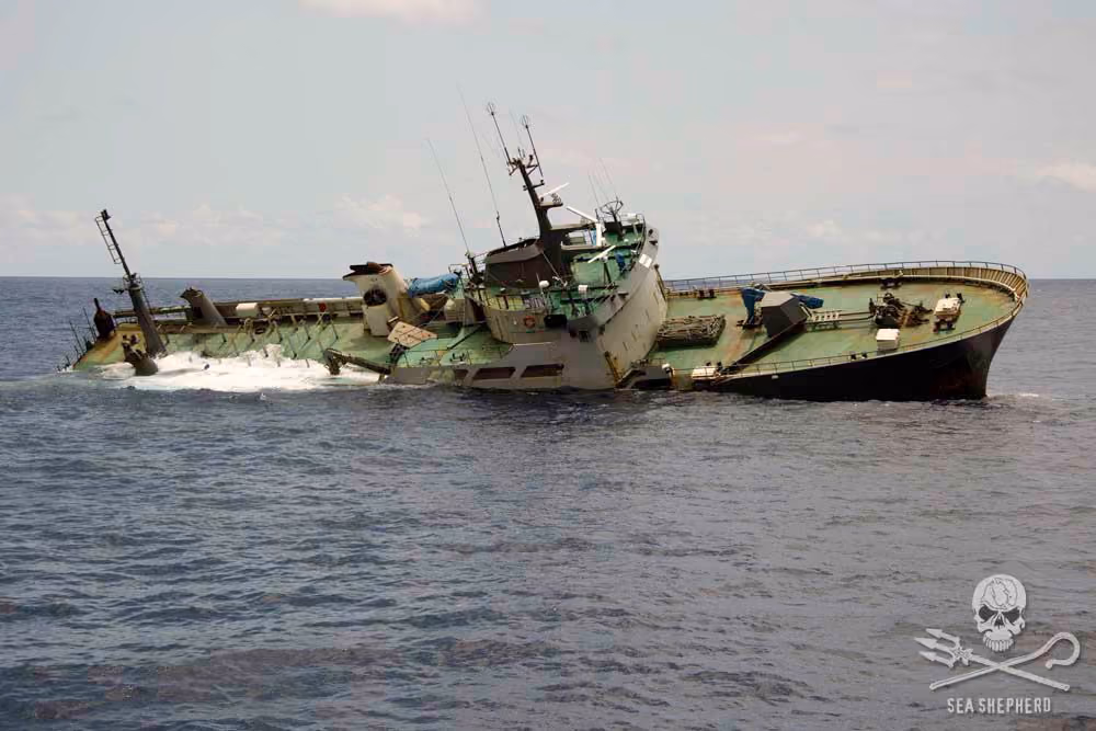 O mais notório navio da frota pesqueira, Thunder, afundando sob circunstâncias suspeitas.. Foto: Sea Shepherd / Simon Ager