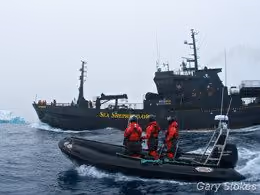 Equipe Delta é lançada para rastrear o arpoador Yushin Maru