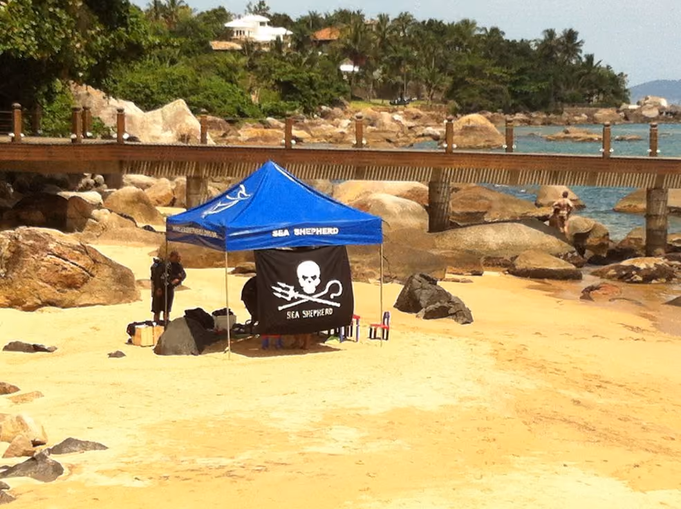 Praia Grande. Foto ISSB SP