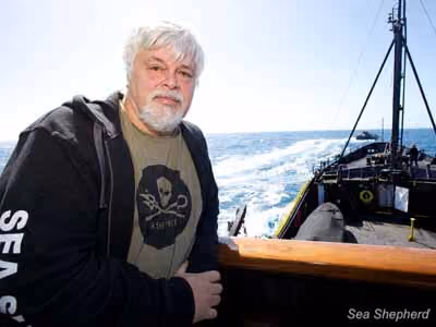 Foto: Barbara Veiga/Sea Shepherd