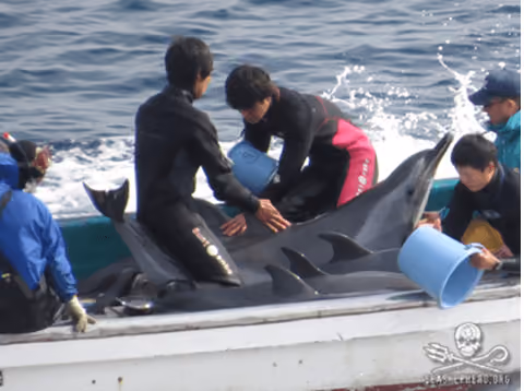 Treinadores no barco logo após o processo de seleção. Foto: Sea Shepherd