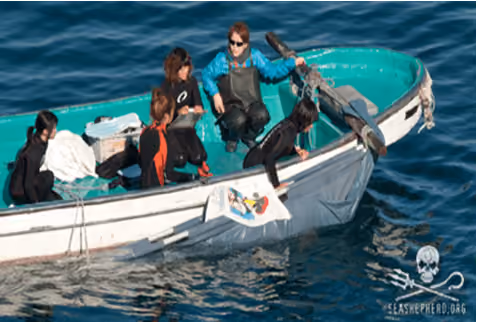 Treinadores de golfinhos em Taiji. Foto: SSCS