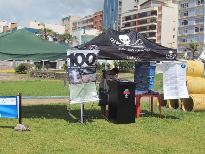 Instituto Sea Shepherd Brasil presente em Torres (RS). Foto: Núcleo RS