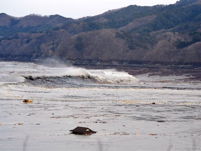 Casa flutuando próximo às ondas do Tsunami, note a dimensão das ondas em relação à casa