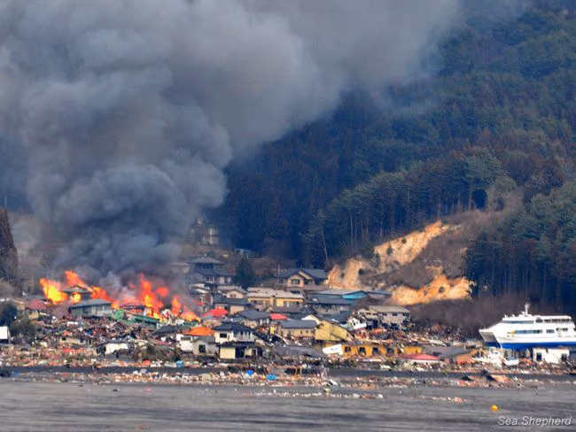 news_110312_2_8_fires_across_the_harbor-large