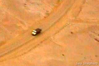 Imagem aérea do caminhão que transportava focas abatidas deixando a Reserva de Cape Cross