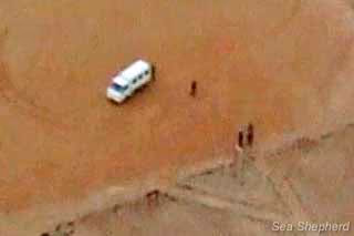 Imagem aérea de caçadores chegando para começar a abater focas