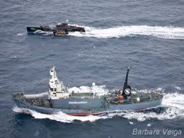 Gojira alcança o Yushin Maru 2