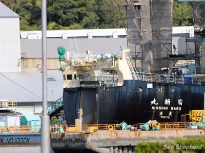 Navio da frota baleeira japonesa da fábrica, o Nisshin Maru. Foto: Sea Shepherd