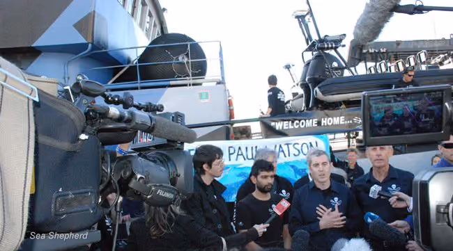 A apaixonada Conferência de Imprensa. Foto: Sea Shepherd Austrália / Paul Brown