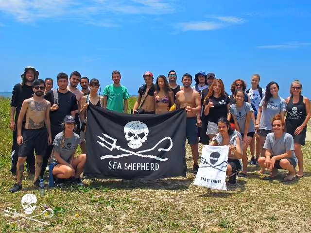 Grupo de voluntários Sea Shepherd Brasil do Paraná em mais um dia de limpeza
