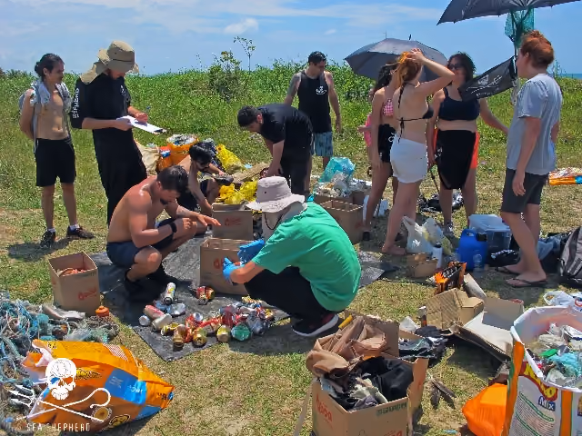 Na separação e contagem do material coletado, a ciência de catalogar e contar cada itens requer organização e métodos.