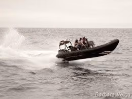 Equipe Delta da Sea Shepherd levando uma surra do Oceano Antártico