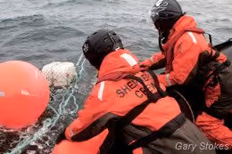 Tripulação da Sea Shepherd puxando a linha ilegal