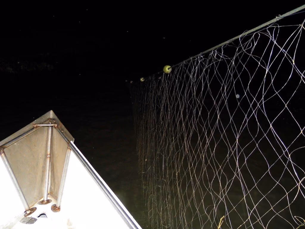 Rede de pesca ilegal encontrada no Rio Tubarão, em fev de 2014. Foto: Sea Shepherd Brasil