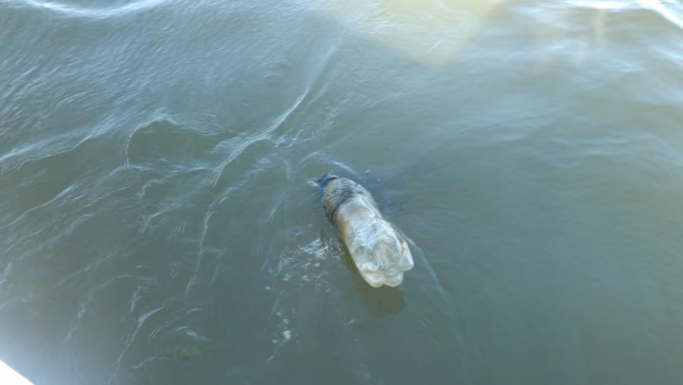 Garrafas pet que marcam a presença de rede de espera no Rio Tubarão. Foto: Sea Shepherd Brasil