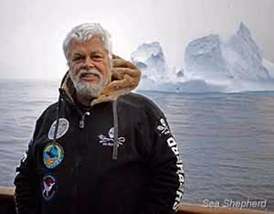 Paul Watson, agindo como observador, durante a Operação Tolerância Zero. Foto: Tim Watters