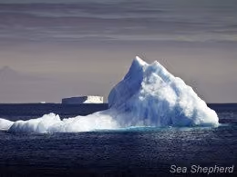 Um iceberg no Oceano Antártico (Foto: Simon Ager)